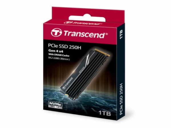SSD TRANSCEND 1TBinterniM.2NVMecrna