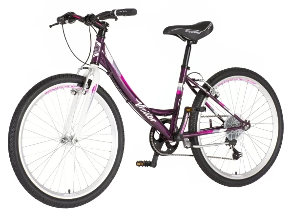 Bicikla Visitor Junior Fox 2419 V-BRAKE6 brzinaljubičasta