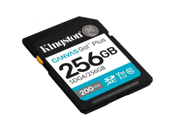 MEMORIJSKA KARTICA KINGSTON SDG4256GB