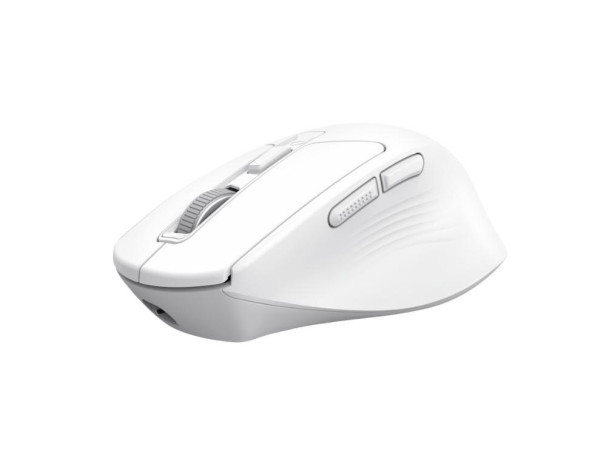 https://www.hobotnica.rs/images/products/big/195605.jpg