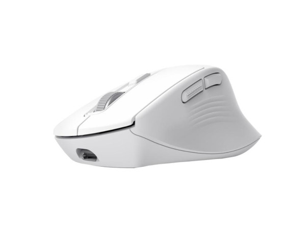 https://www.hobotnica.rs/images/products/big/195608.jpg