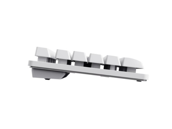 https://www.hobotnica.rs/images/products/big/197320.jpg