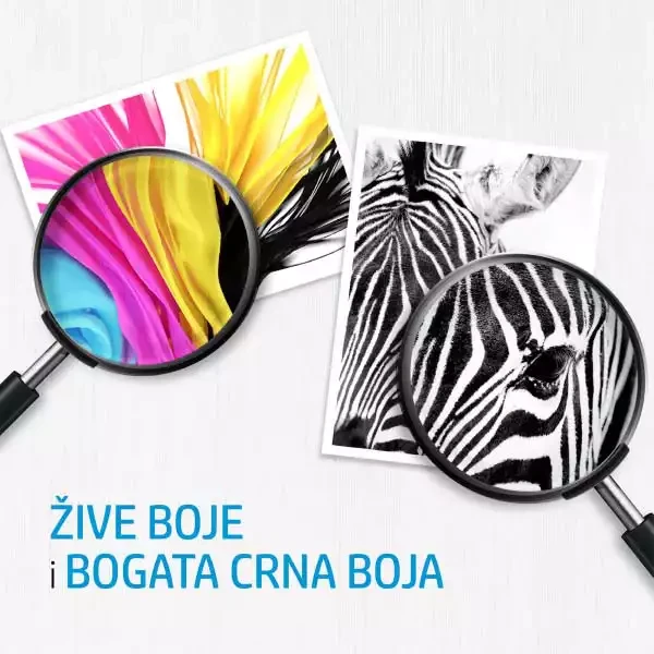 https://www.hobotnica.rs/images/products/big/23433.webp