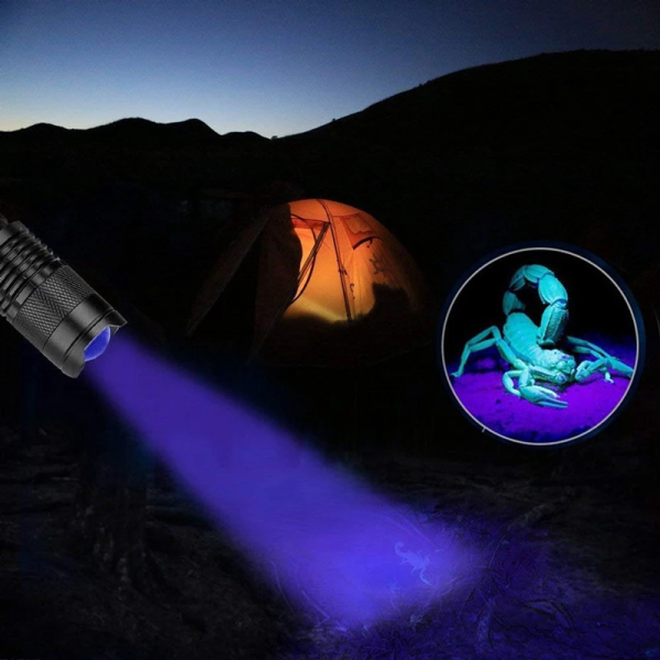https://www.hobotnica.rs/images/products/big/93755.png